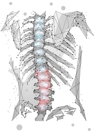 Fisioterapia SIA Fisioterapia SIA